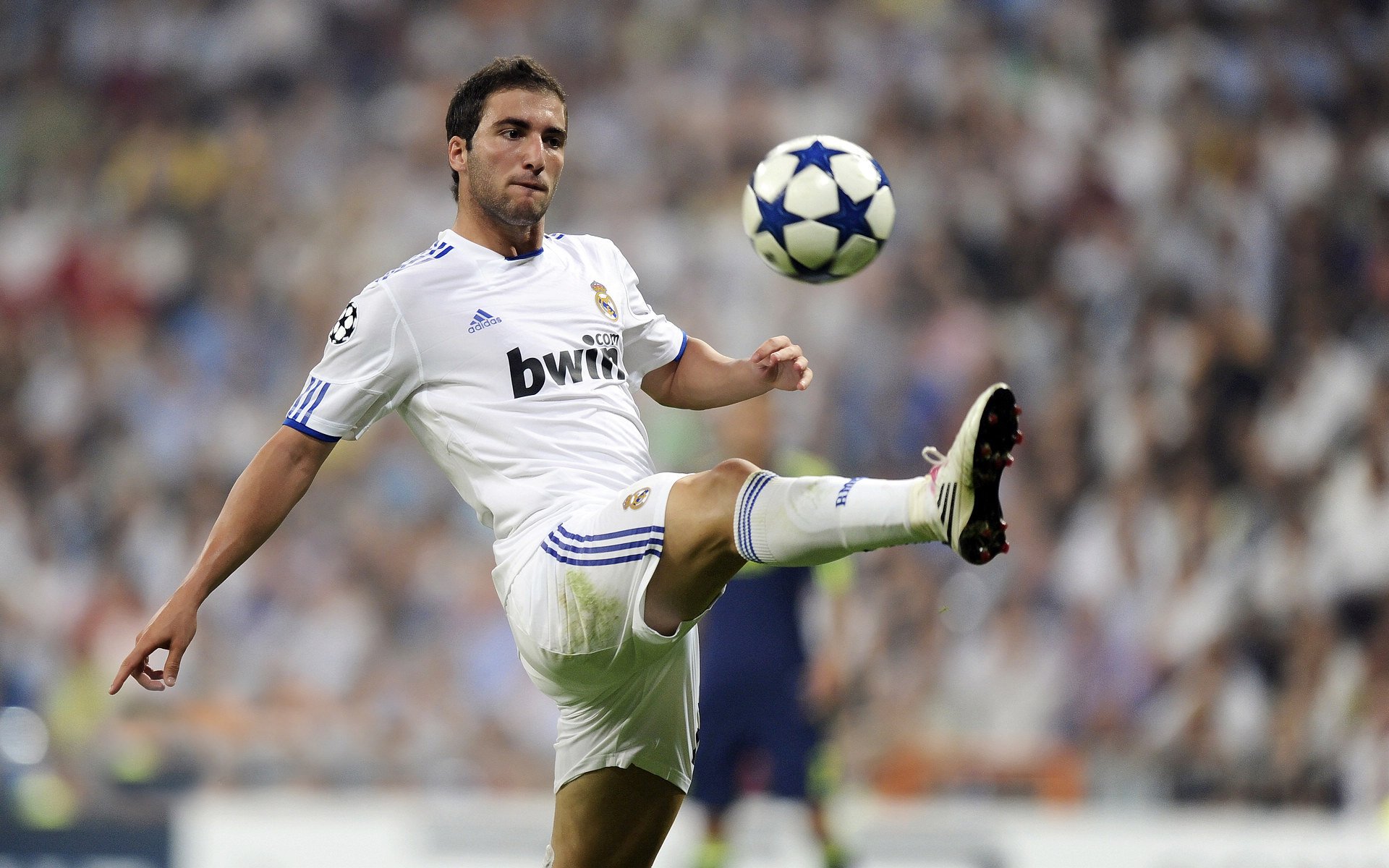 中国花样游泳队巴黎奥运备战冲刺 全新编排力争夺金